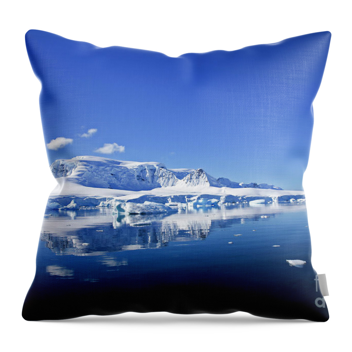 Landscapes Throw Pillow featuring the photograph Wilhelmina Bay Antarctica #7 by Lilach Weiss