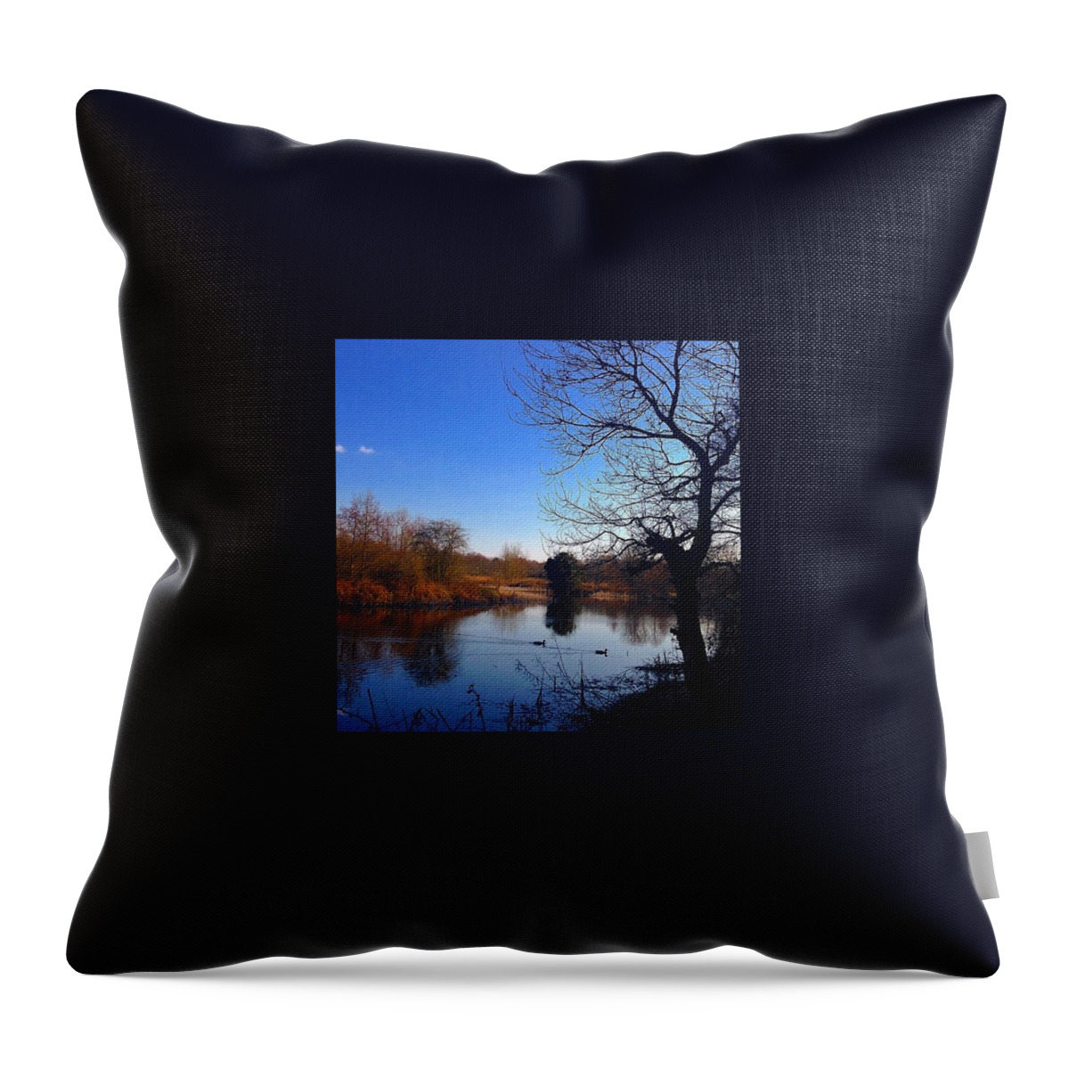 Lake Throw Pillow featuring the photograph Lake at Evening Time by Grace Smith
