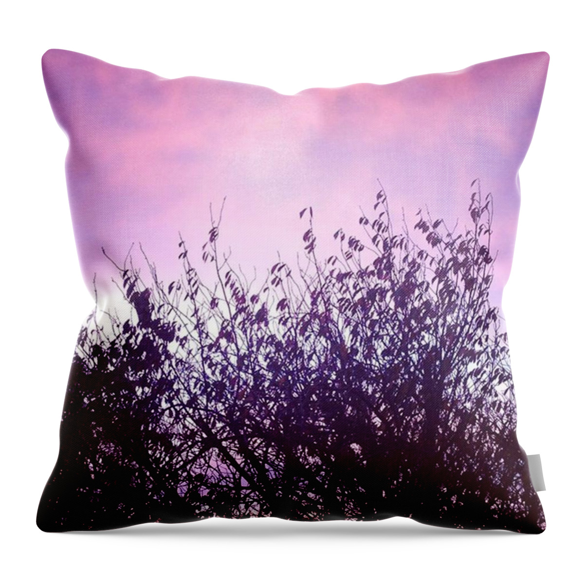 Silhouette Throw Pillow featuring the photograph Sky Silhouette by Ruthie Hindes