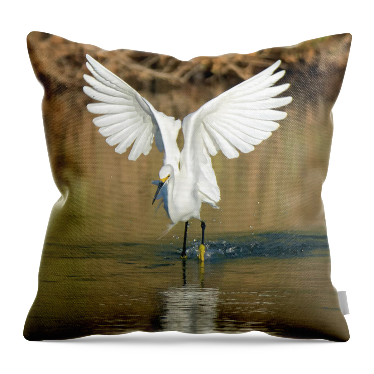 Snowy Throw Pillow featuring the photograph Snowy Egret #74 by Tam Ryan