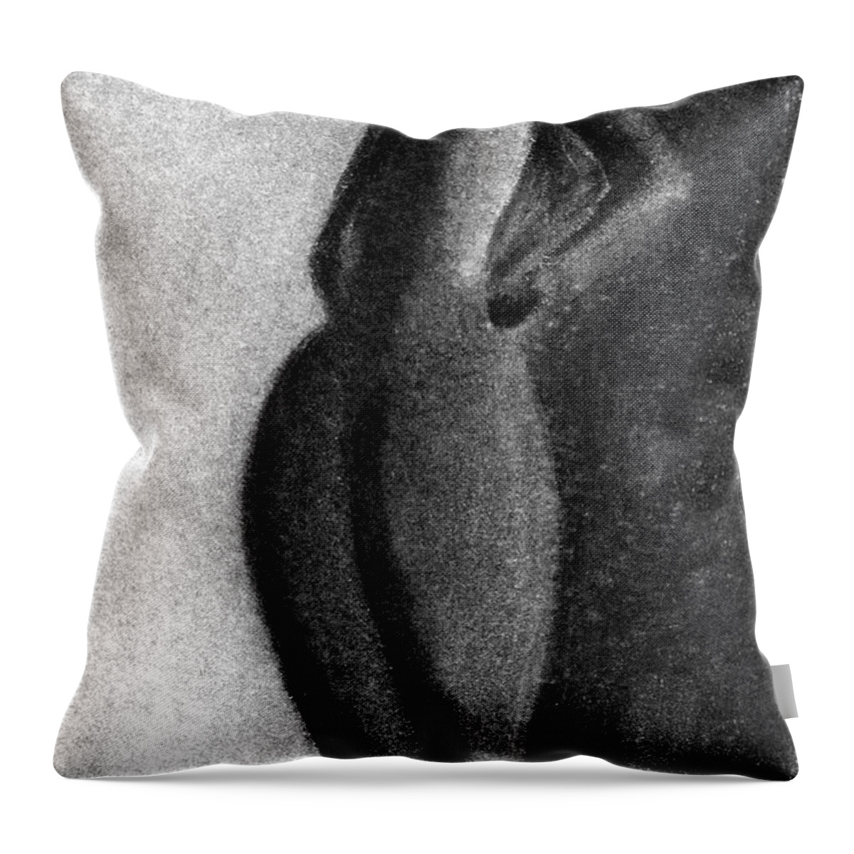  Throw Pillow featuring the drawing . #445 by James Lanigan Thompson MFA