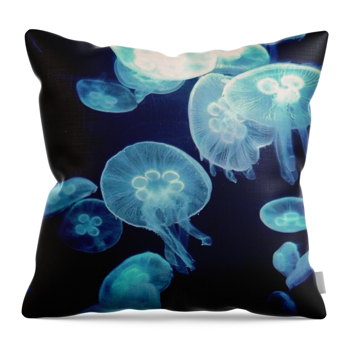 Jellyfish Throw Pillow featuring the photograph Glow wonder by C Oeur