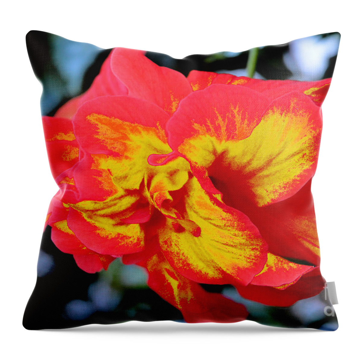  Hibiscus Throw Pillow featuring the photograph 76- Painted Hibiscus by Joseph Keane