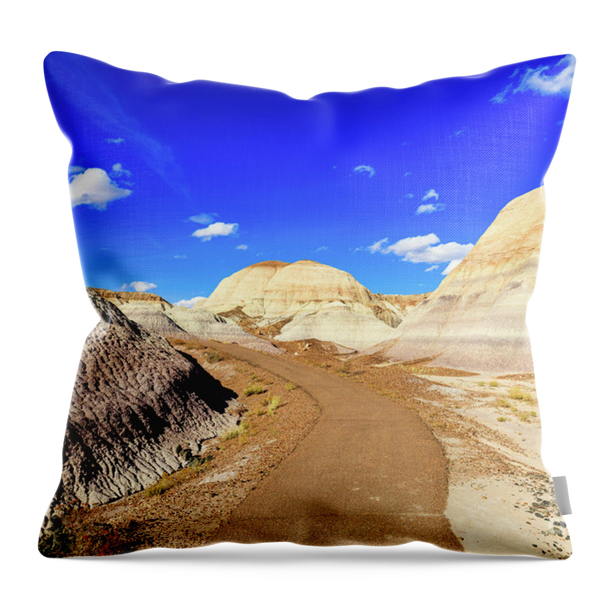 Arizona Throw Pillow featuring the photograph Arizona Petrified Forest #8 by Raul Rodriguez