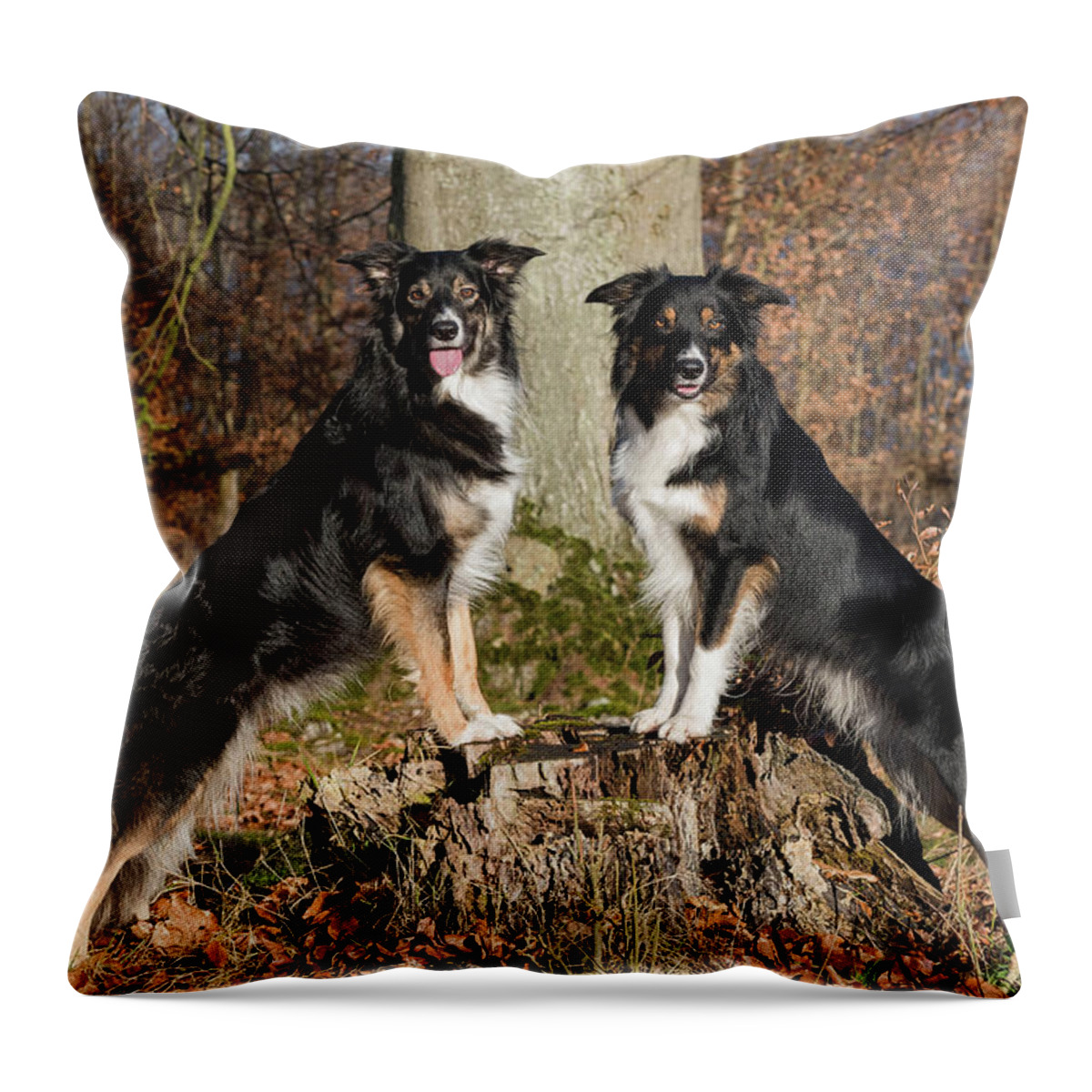 Border Collie Throw Pillow featuring the digital art Border Collie #8 by Super Lovely