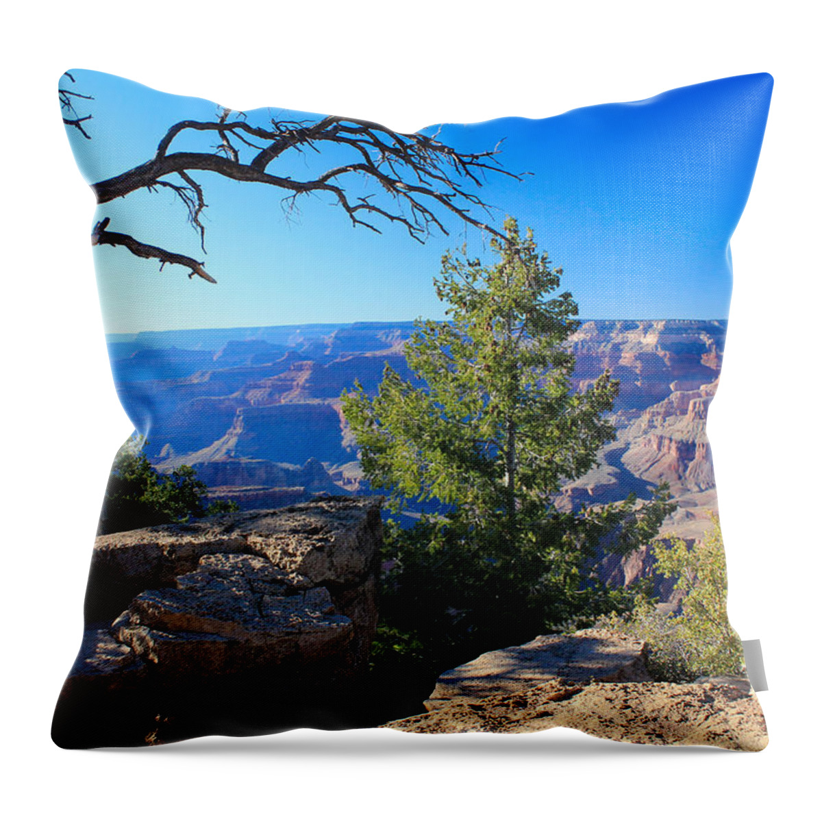 Sunset Throw Pillow featuring the photograph Grand Canyon #8 by Chris Pickett