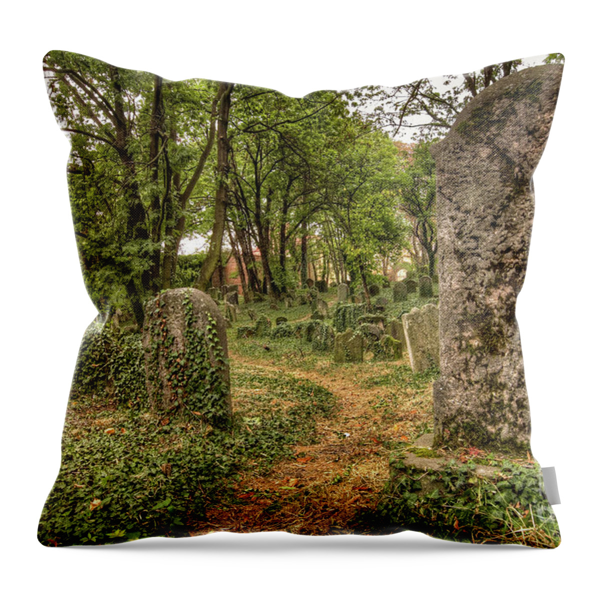 Czech Throw Pillow featuring the photograph Old Jewish Cemetery #8 by Michal Boubin
