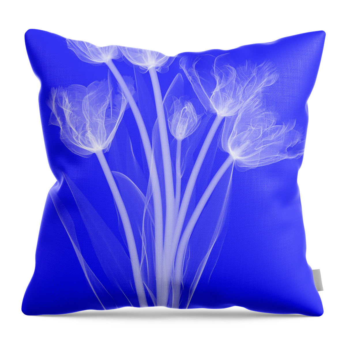 Science Throw Pillow featuring the photograph Tulips, X-ray #4 by Ted Kinsman