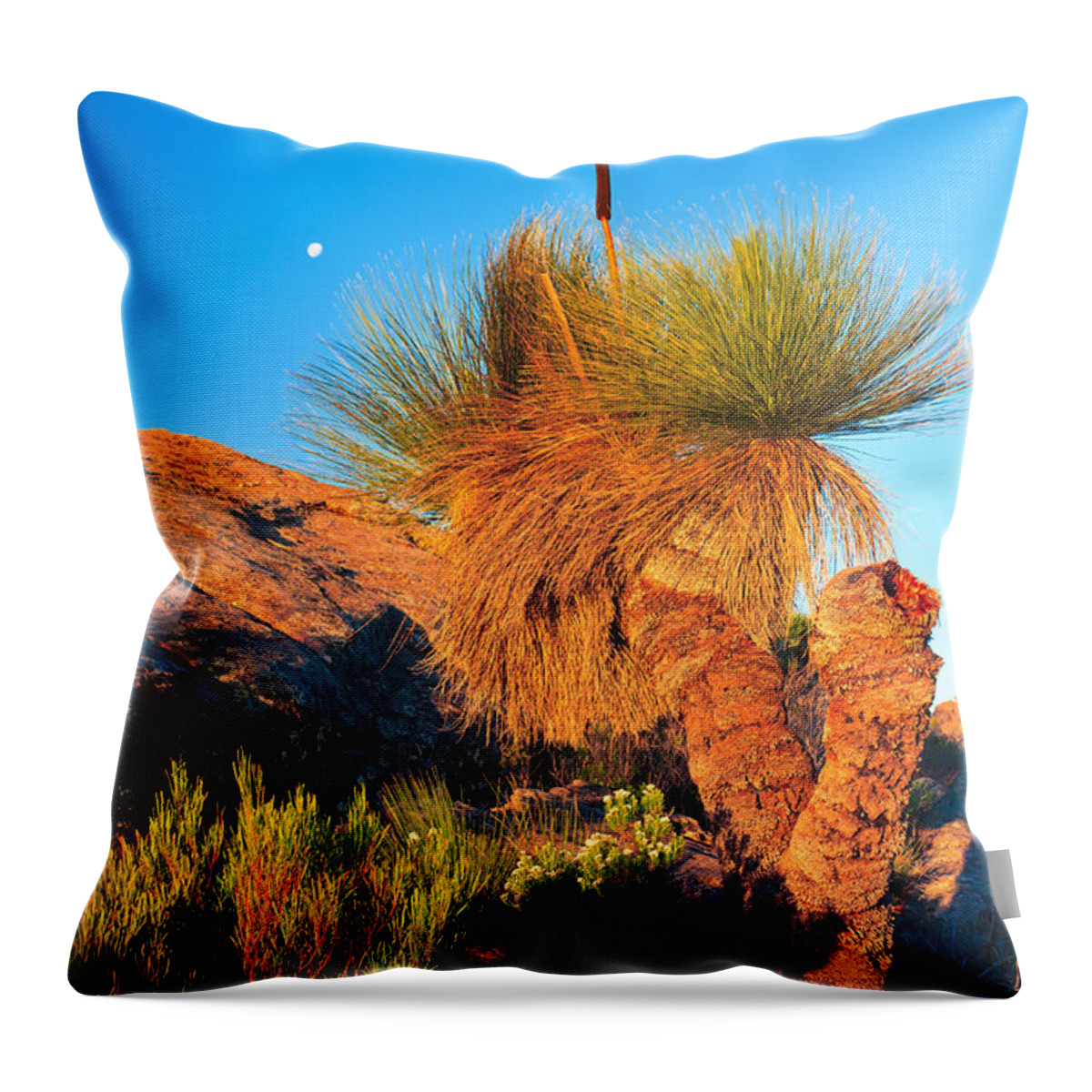 Wilpena Pound St Mary Peak Filinders Ranges South Australia Australain Landscape Landscapes Outback Moon Xanthorhoea Throw Pillow featuring the photograph Wilpena Pound #8 by Bill Robinson