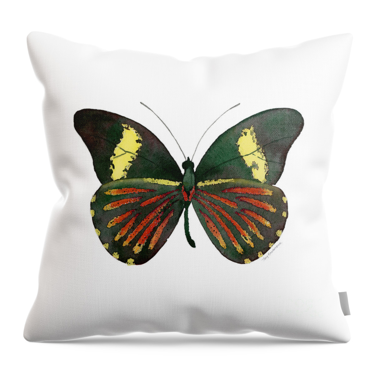 Archonias Butterfly Throw Pillow featuring the painting 86 Archonias Butterfly by Amy Kirkpatrick