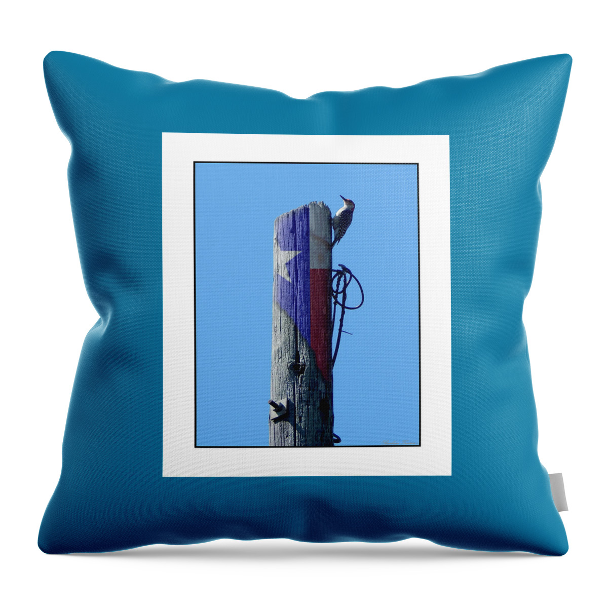 Barbara Tristan Throw Pillow featuring the photograph #8667 Woodpecker #8667 by Barbara Tristan