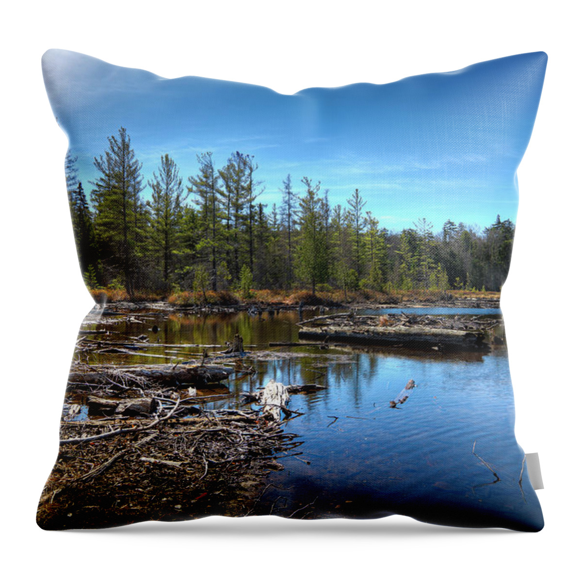 8th Lake Channel Throw Pillow featuring the photograph 8th Lake Channel by David Patterson