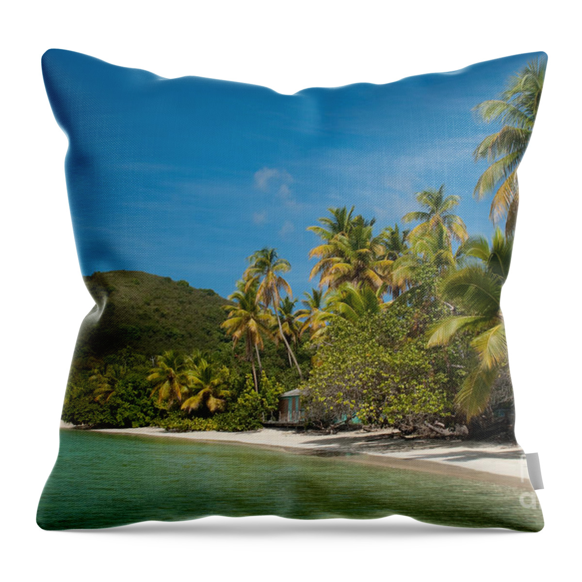 Virgin Islands Throw Pillow featuring the photograph Cinnamon Bay beach on Saint John - United States Virgin Island #9 by Anthony Totah