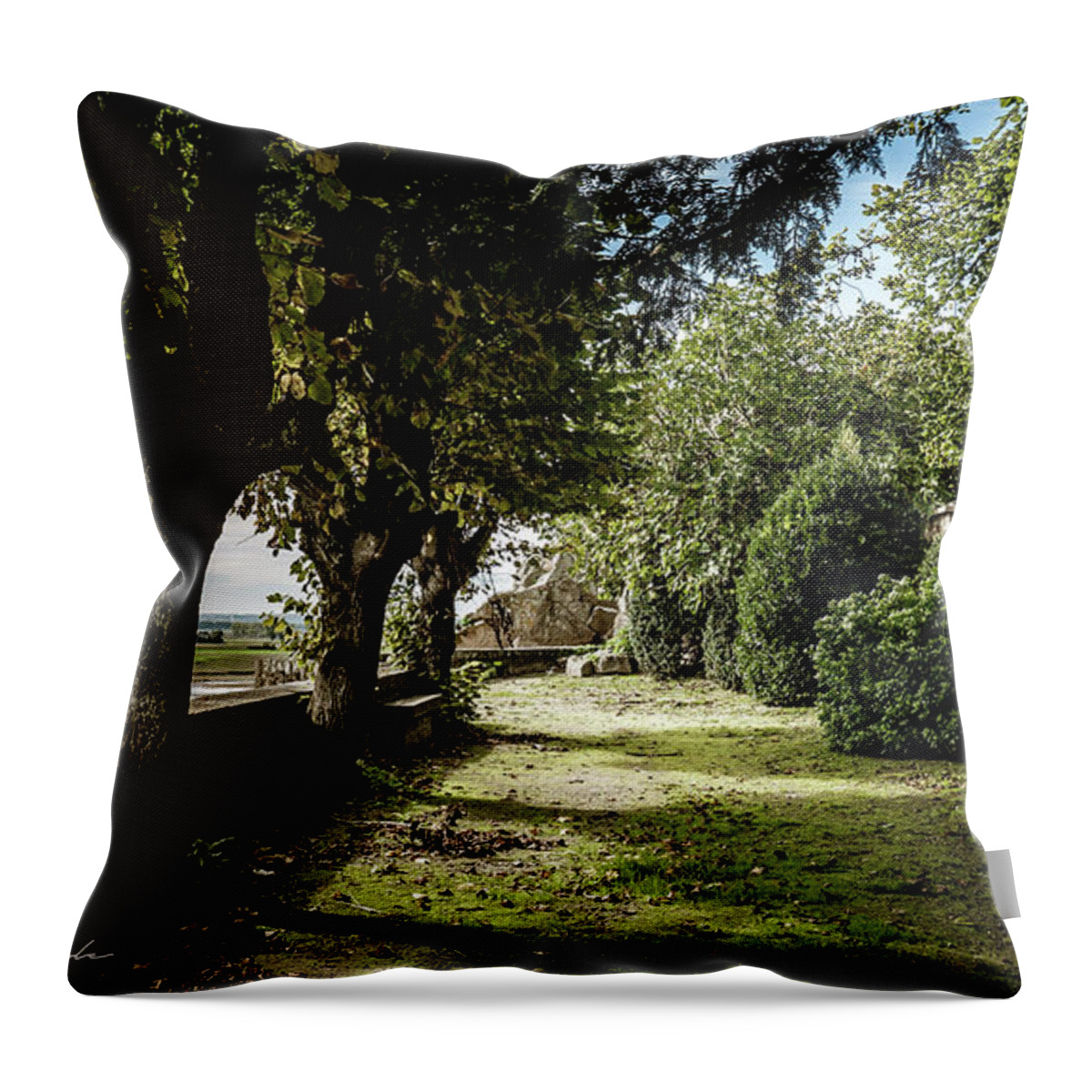 Water Throw Pillow featuring the photograph Le Mont Saint Michel #9 by Jason Steele