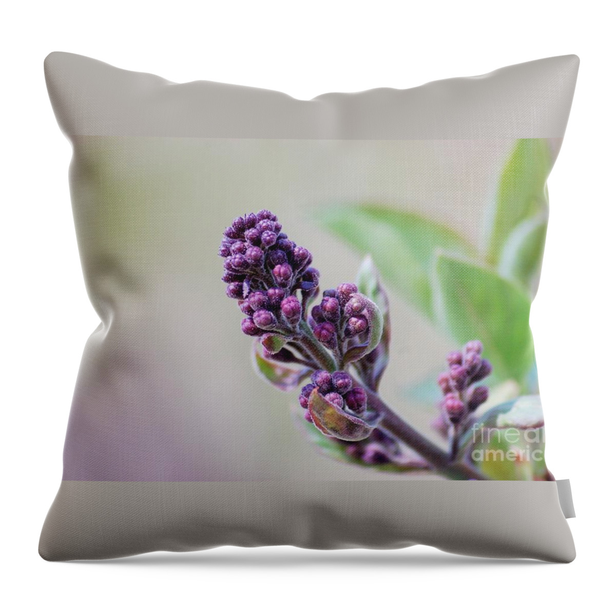 Lilac Throw Pillow featuring the photograph Lilac bud #9 by Elizabeth Stone