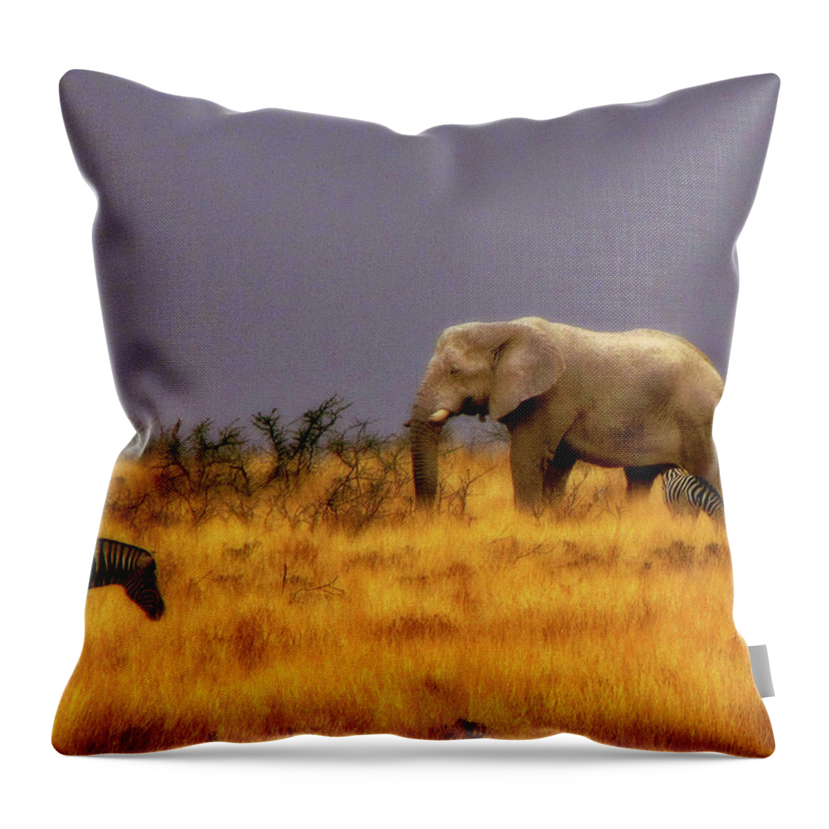 Namibia Throw Pillow featuring the photograph Namibia #9 by Paul James Bannerman