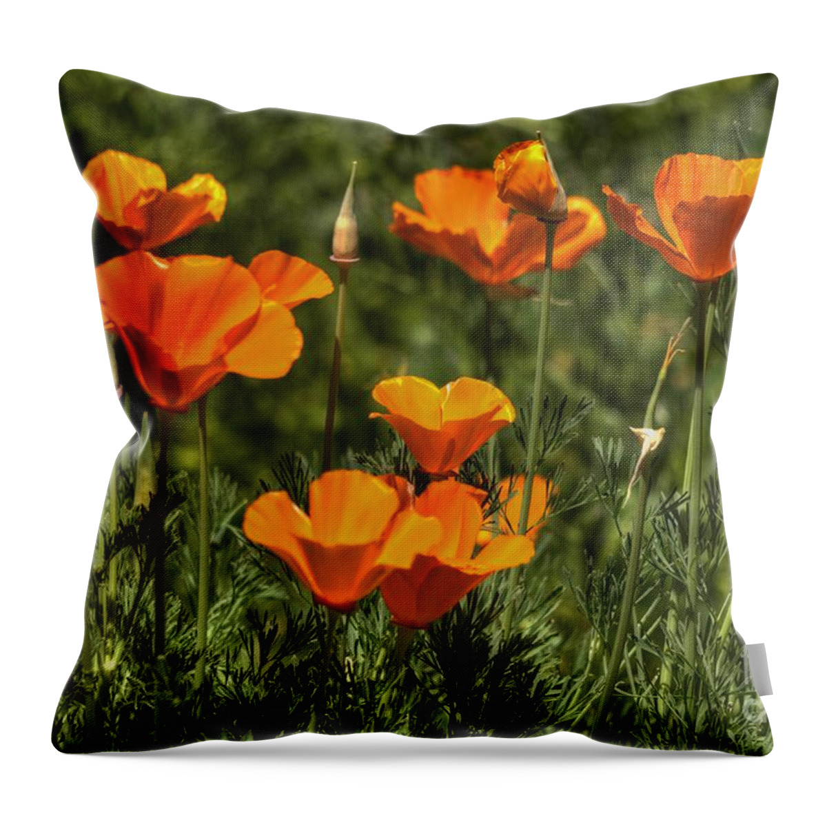 Poppies Throw Pillow featuring the photograph Poppies #9 by Marc Bittan