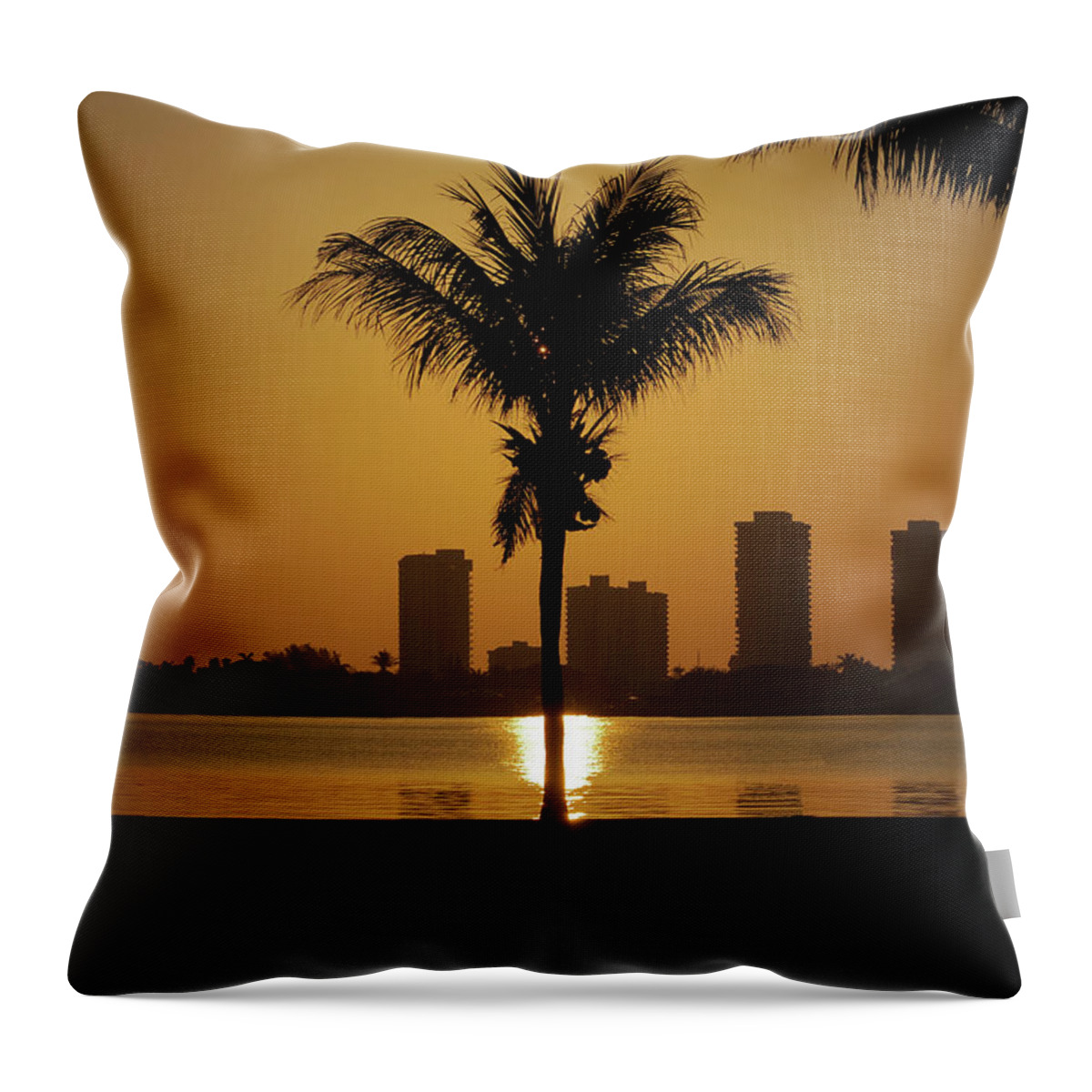 Sunrise Throw Pillow featuring the photograph 9- Reflections by Joseph Keane