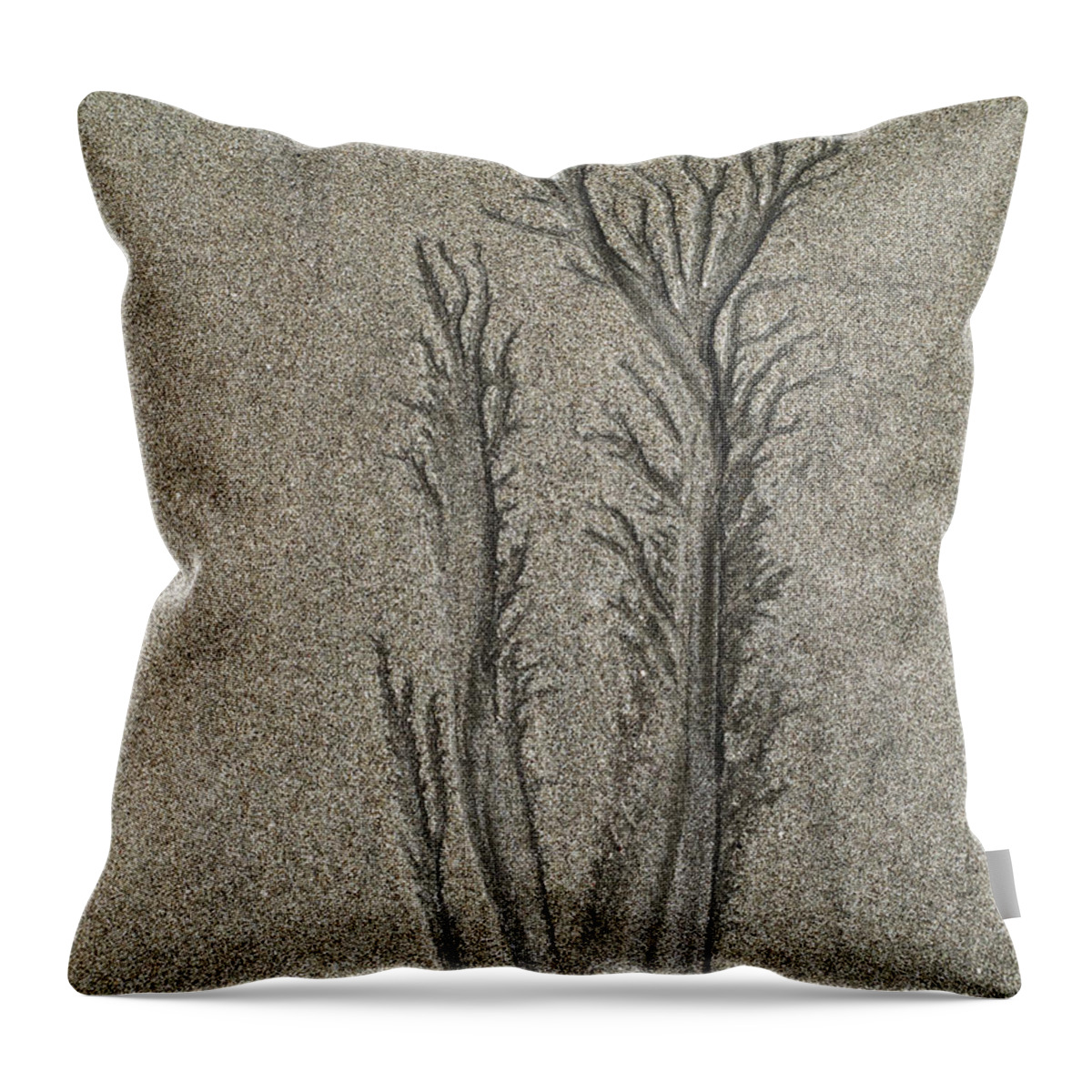 Sand Throw Pillow featuring the photograph Sand Reels #10 by Joe Palermo