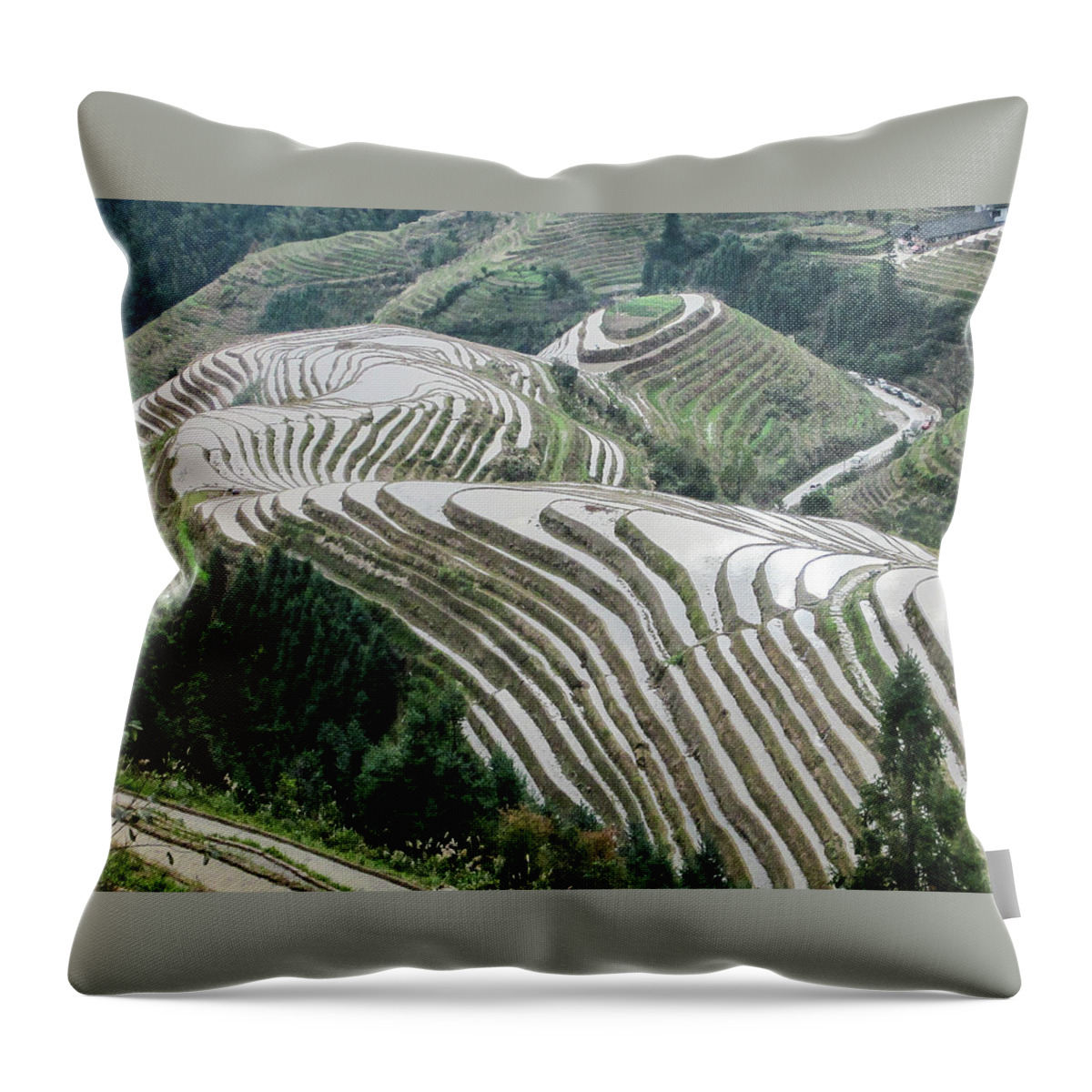 Scene Throw Pillow featuring the photograph Terrace fields scenery in spring #9 by Carl Ning