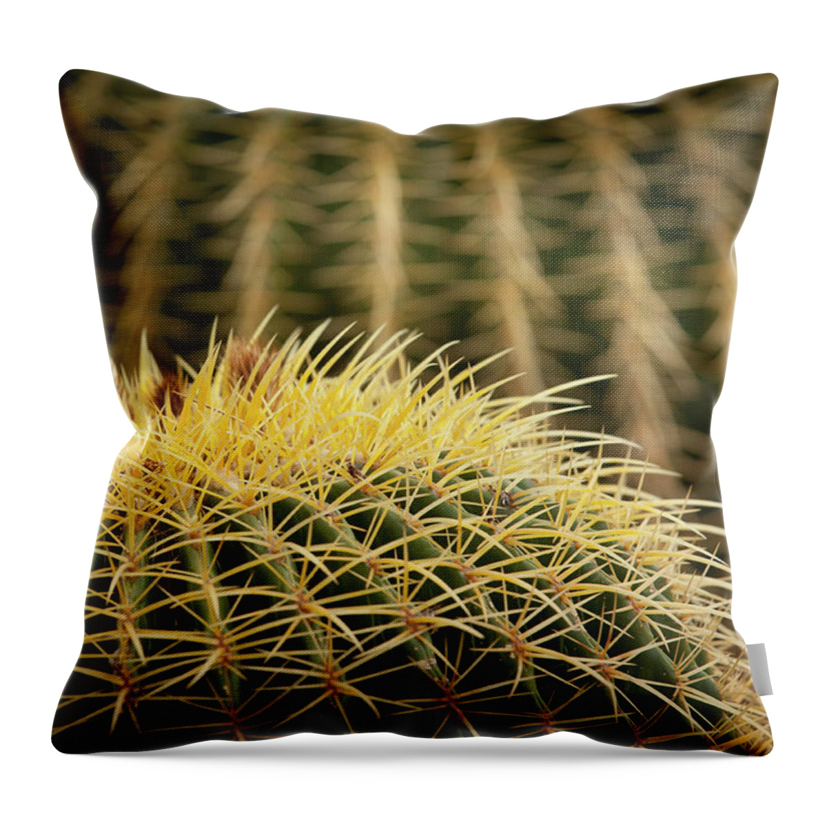 Cactus Throw Pillow featuring the photograph Textures of Arizona #10 by John Magyar Photography