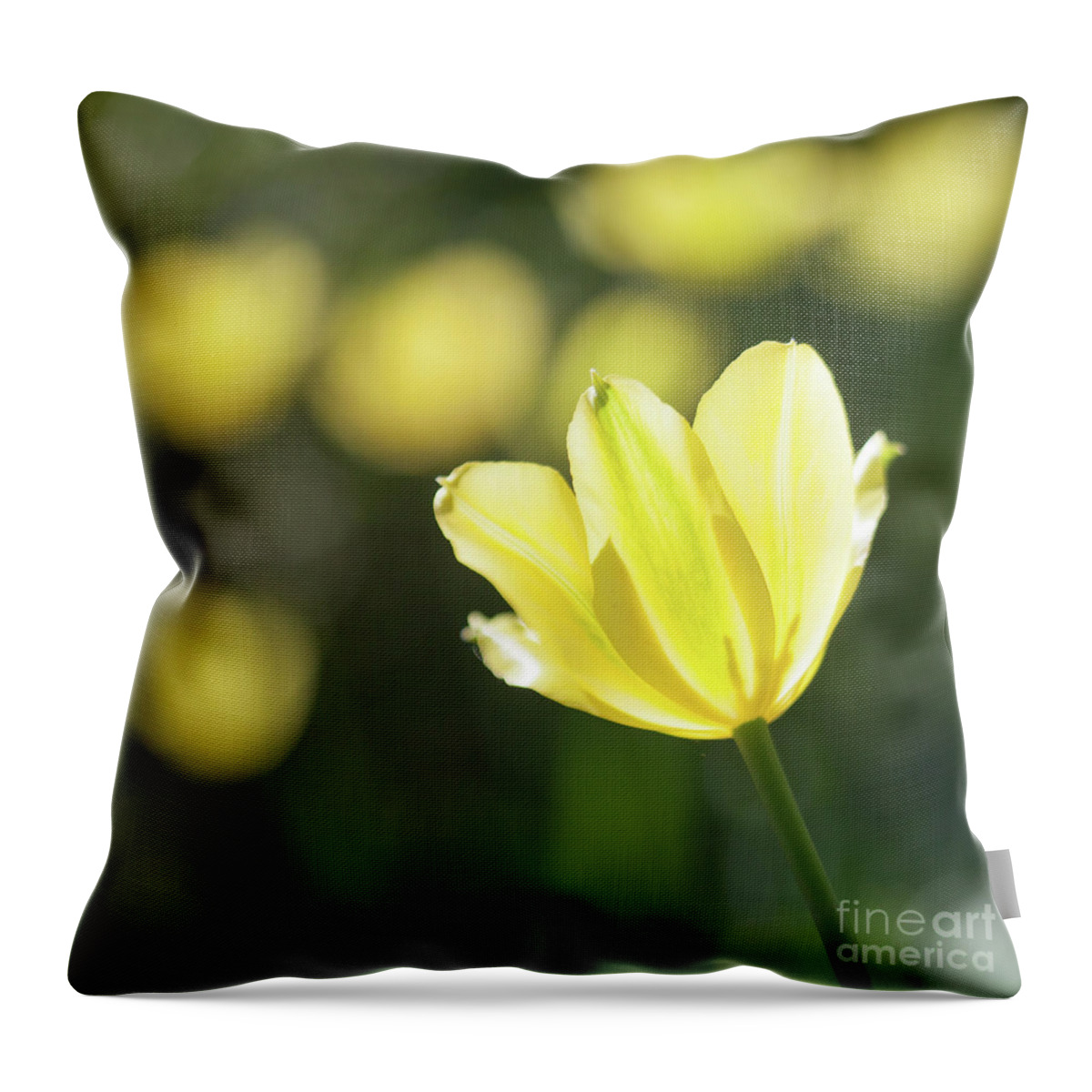 Flower Throw Pillow featuring the photograph Yellow tulips #9 by Kati Finell