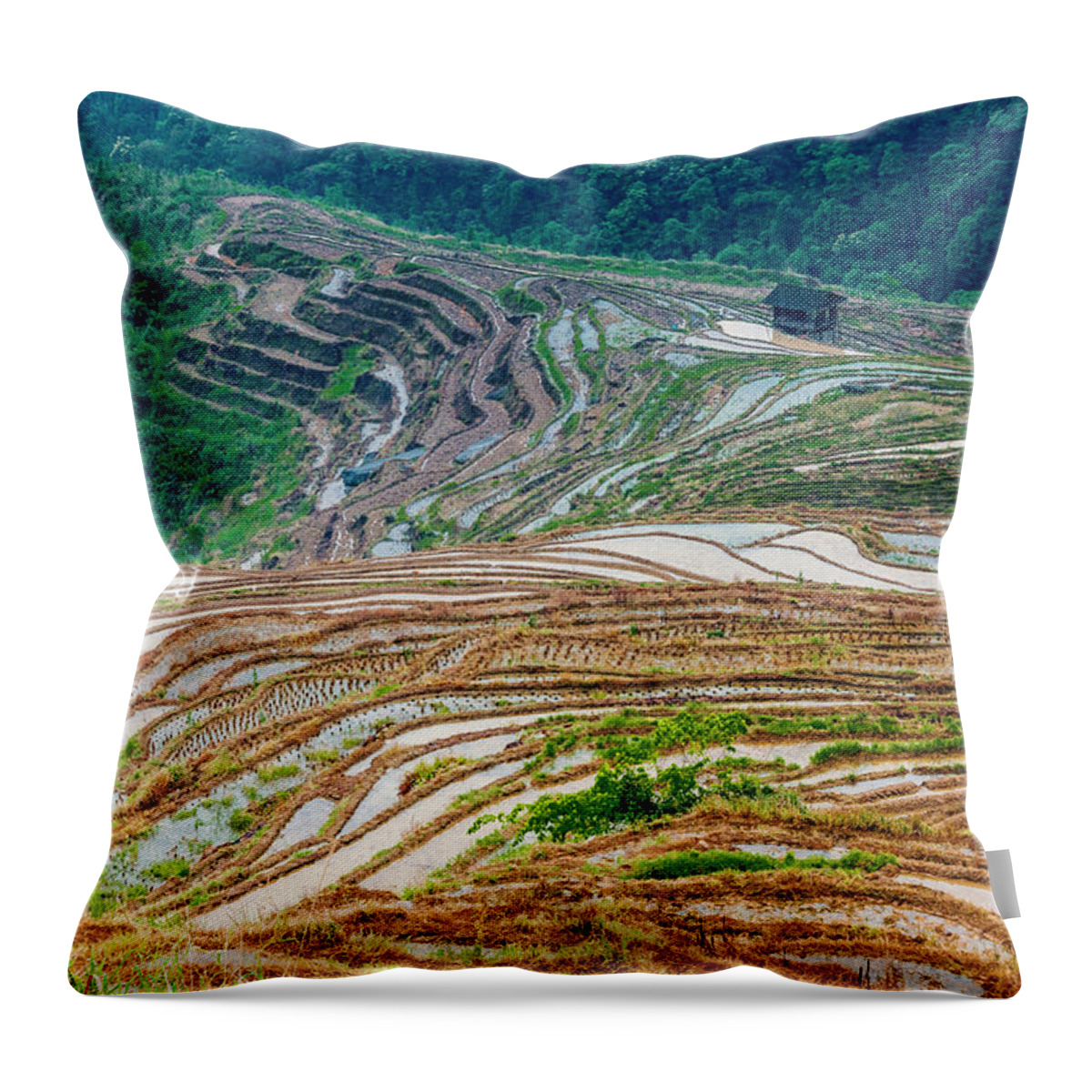 Terrace Throw Pillow featuring the photograph Longji terraced fields scenery #97 by Carl Ning