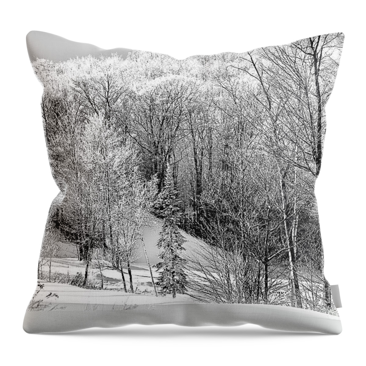  Throw Pillow featuring the photograph 9777a by Burney Lieberman