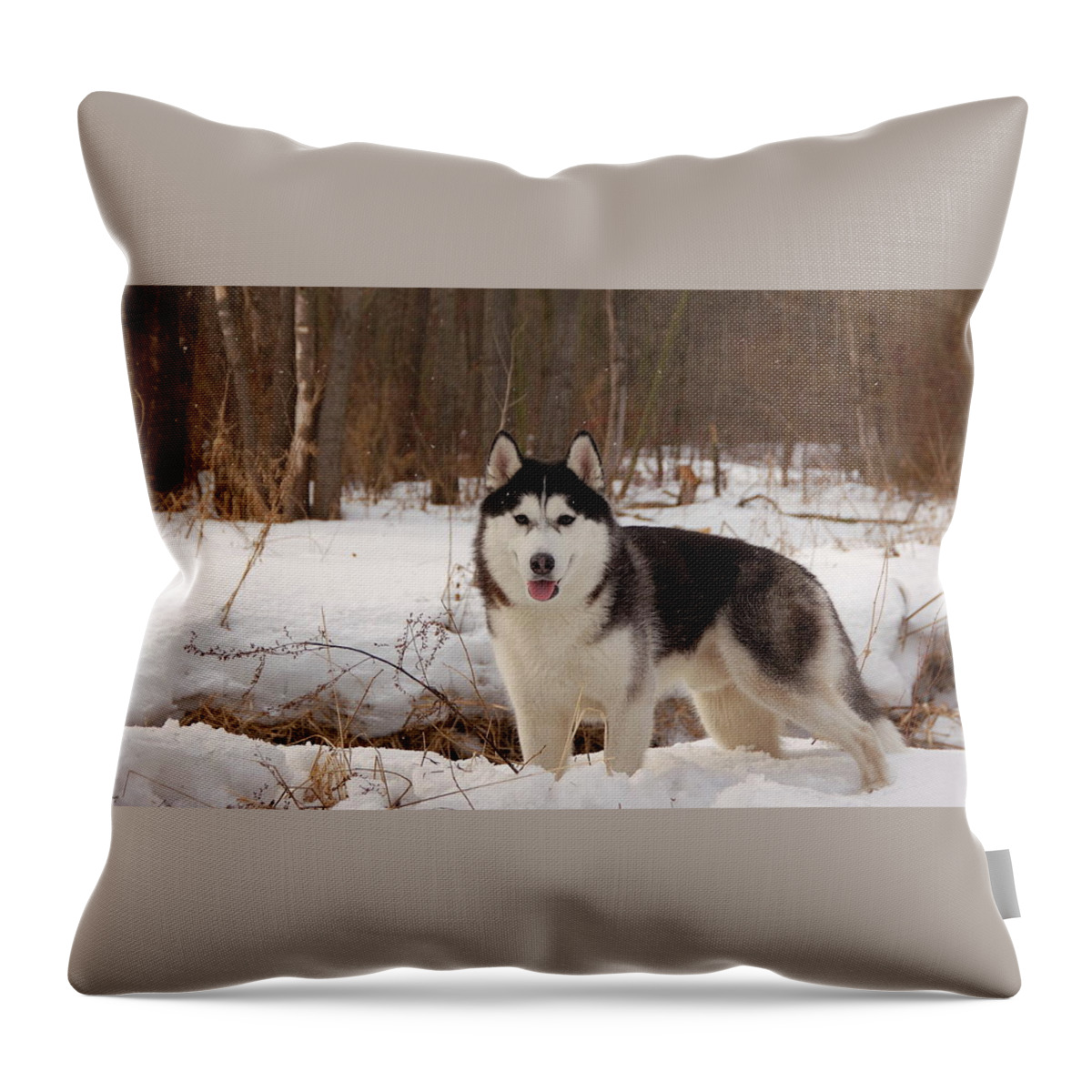 Dog Throw Pillow featuring the photograph Dog #98 by Jackie Russo