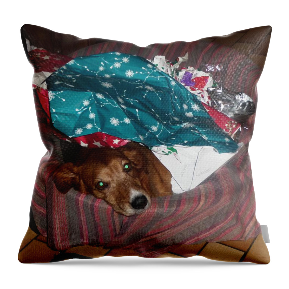 Dog Throw Pillow featuring the photograph Dog #98 by Mariel Mcmeeking