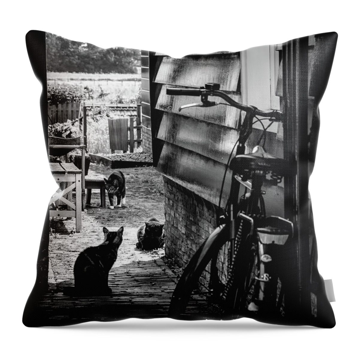 Europe Throw Pillow featuring the photograph A Backstreet With Cats And Bicycle In Marken B/W by RicardMN Photography