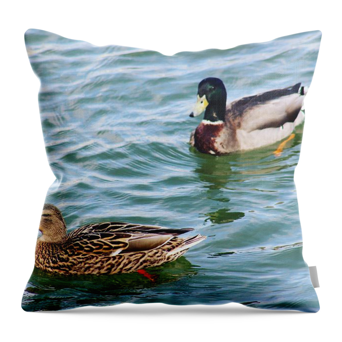 Wildlife River Duck Ducks Animal Waterfront Water Summer Usa America Virginia U.s.a Us Oldtown Alexandria Bird Birds Green Nature Landscape Photo Photography Throw Pillow featuring the digital art A Beautiful Couple by Jeanette Rode Dybdahl