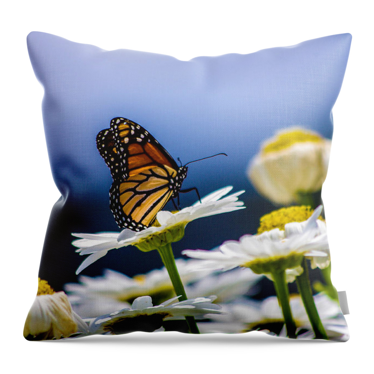Butterfly Throw Pillow featuring the photograph A beautiful view by Gerald Kloss