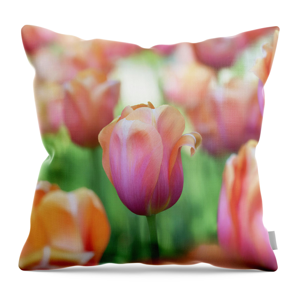 Beautiful Throw Pillow featuring the photograph A bed of tulips is a feast for the eyes. by Usha Peddamatham