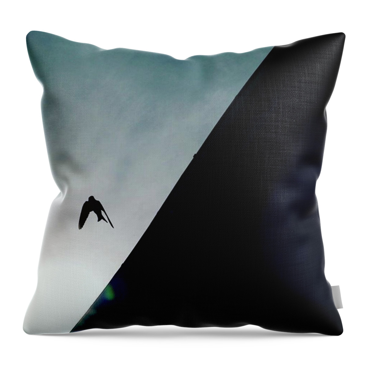 Flight Throw Pillow featuring the photograph A Bird Captured In Flight by Aleck Cartwright