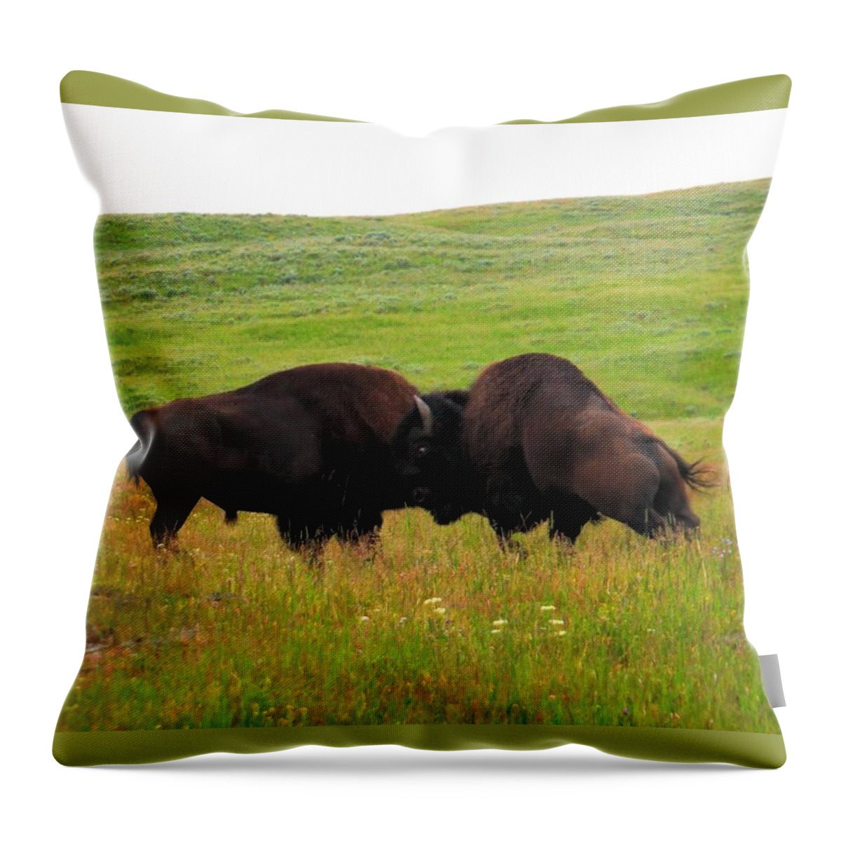 Buffalo Throw Pillow featuring the photograph A Bison Brawl by Jeff Swan