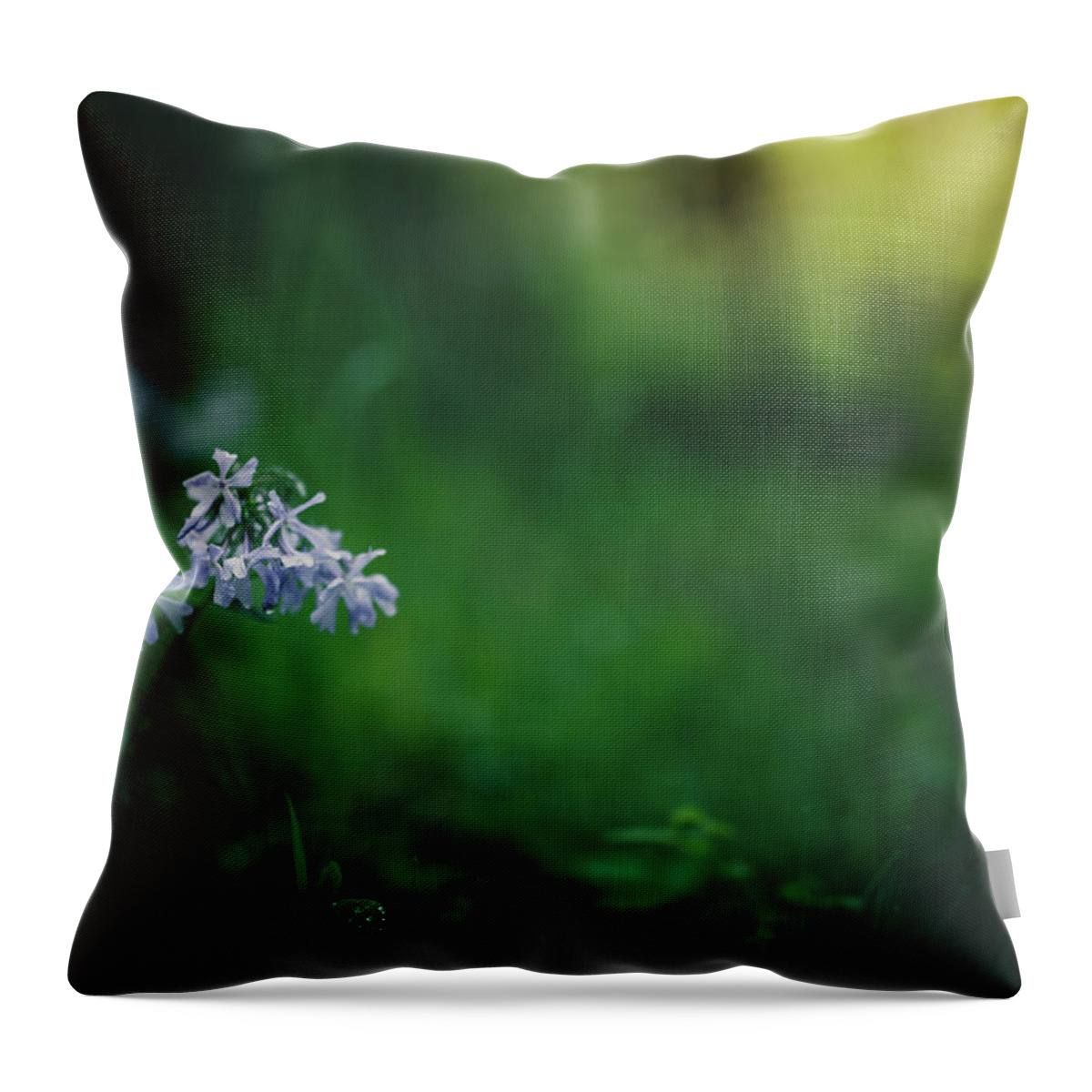Forest Throw Pillow featuring the photograph A Bit Of Forest Magic by Shane Holsclaw