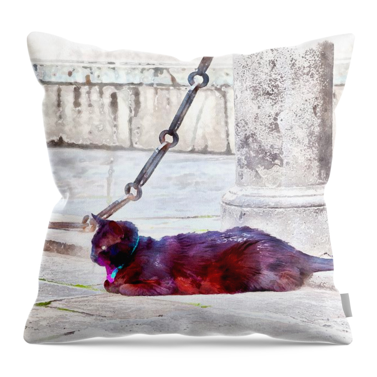Black; Cat; Street; Road; Alley; Animal; Domestic Animal; Domestic Cat; Collar; Blue; Venice; Italy; Europe; Wonderful; Beautiful; Wild; Attentively; Nature; Naturally; Grey; Stone; Chain; Wall; Sidewalk; Eyes; Background Throw Pillow featuring the digital art A black cat with a blue-and-pink collar by Gina Koch