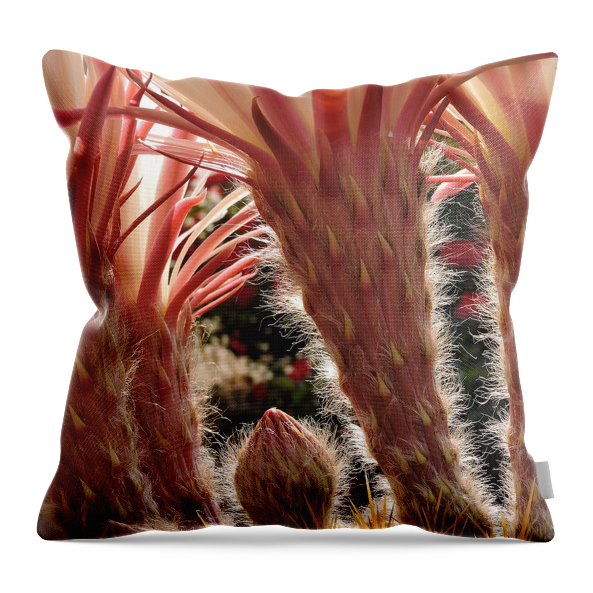 Blooms Throw Pillow featuring the photograph A Blooms Secret by Patricia Haynes