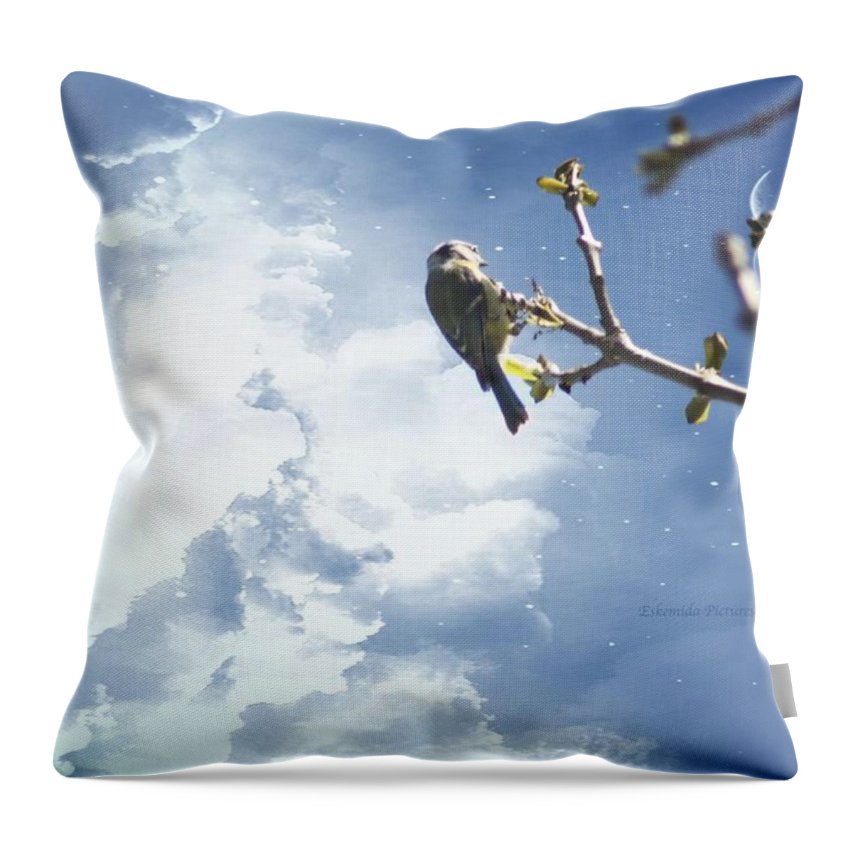Landscape Throw Pillow featuring the photograph A blue tit. by Eskemida Pictures