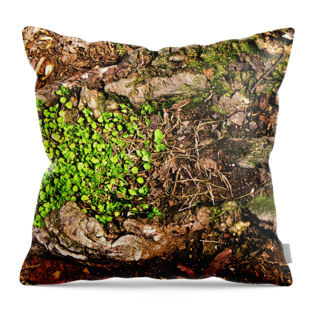 Stump Throw Pillow featuring the photograph A Bowl of Greens by George Taylor