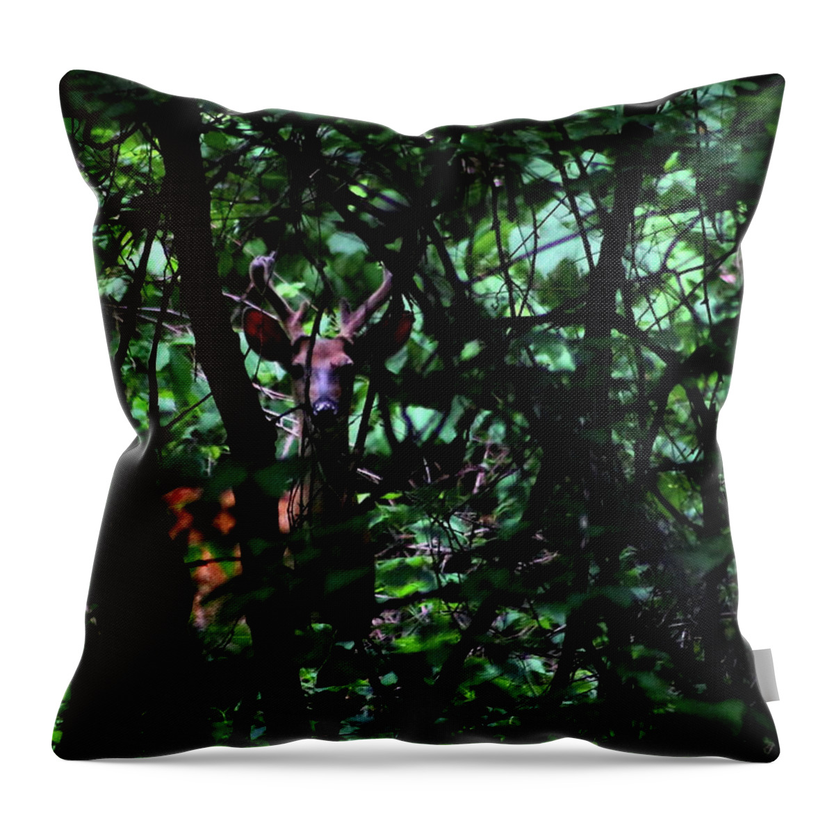 Bucks Throw Pillow featuring the photograph A Buck Peers from the Woods by Bruce Patrick Smith