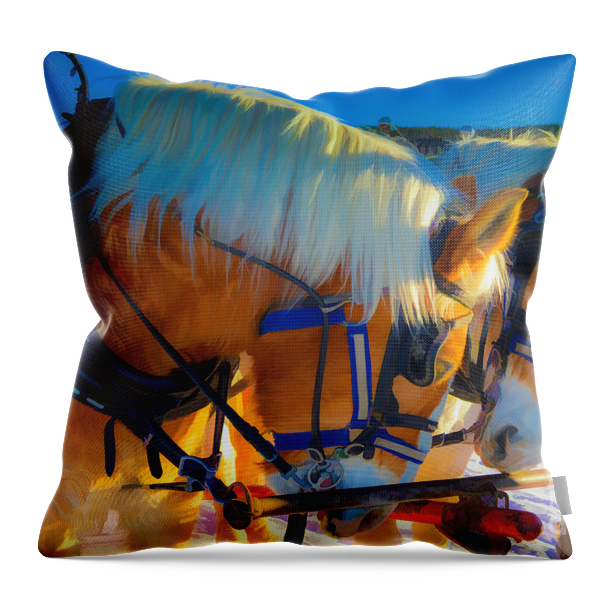 Horse Throw Pillow featuring the photograph A Child's Love by Jim Schlottman