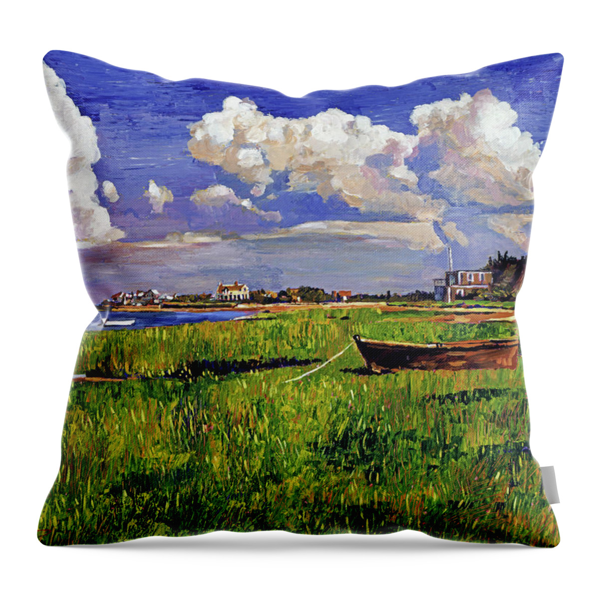 Landscape Throw Pillow featuring the painting A Cloudy Day At The Beach by David Lloyd Glover