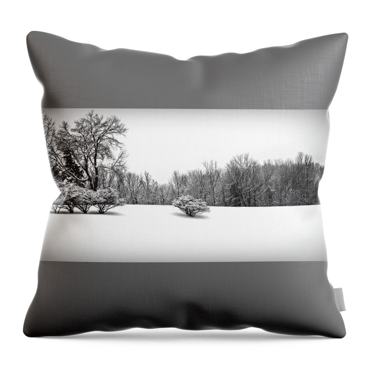 Winter Throw Pillow featuring the photograph A Cold Winters Day Black and White by Aimee L Maher ALM GALLERY
