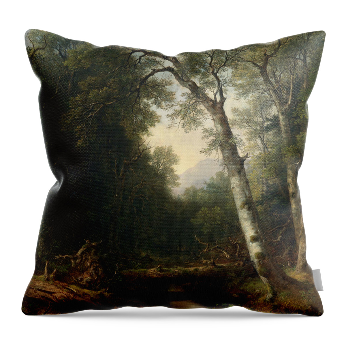Asher Brown Durand Throw Pillow featuring the painting A Creek in the Woods by Asher Brown Durand