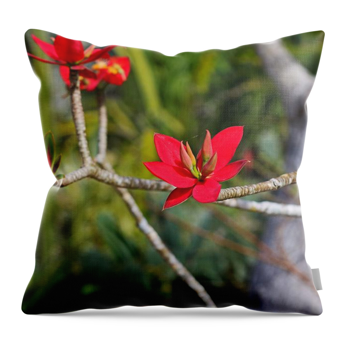 Red Throw Pillow featuring the photograph A Dash of Red by Michiale Schneider
