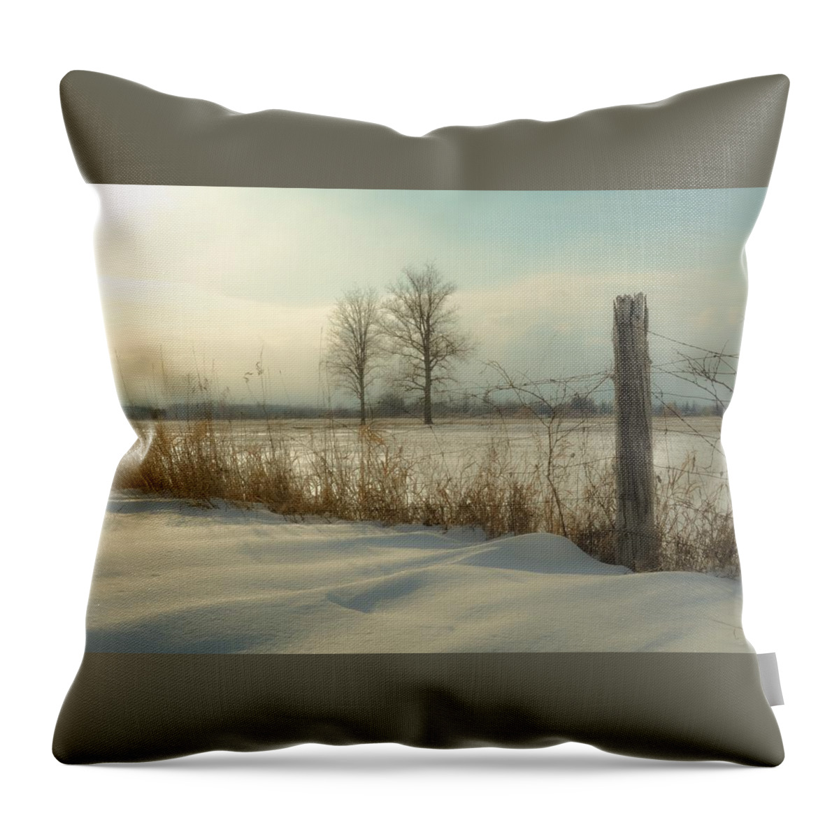 Dawn Throw Pillow featuring the photograph A Dawn of New Snow by Karl Anderson