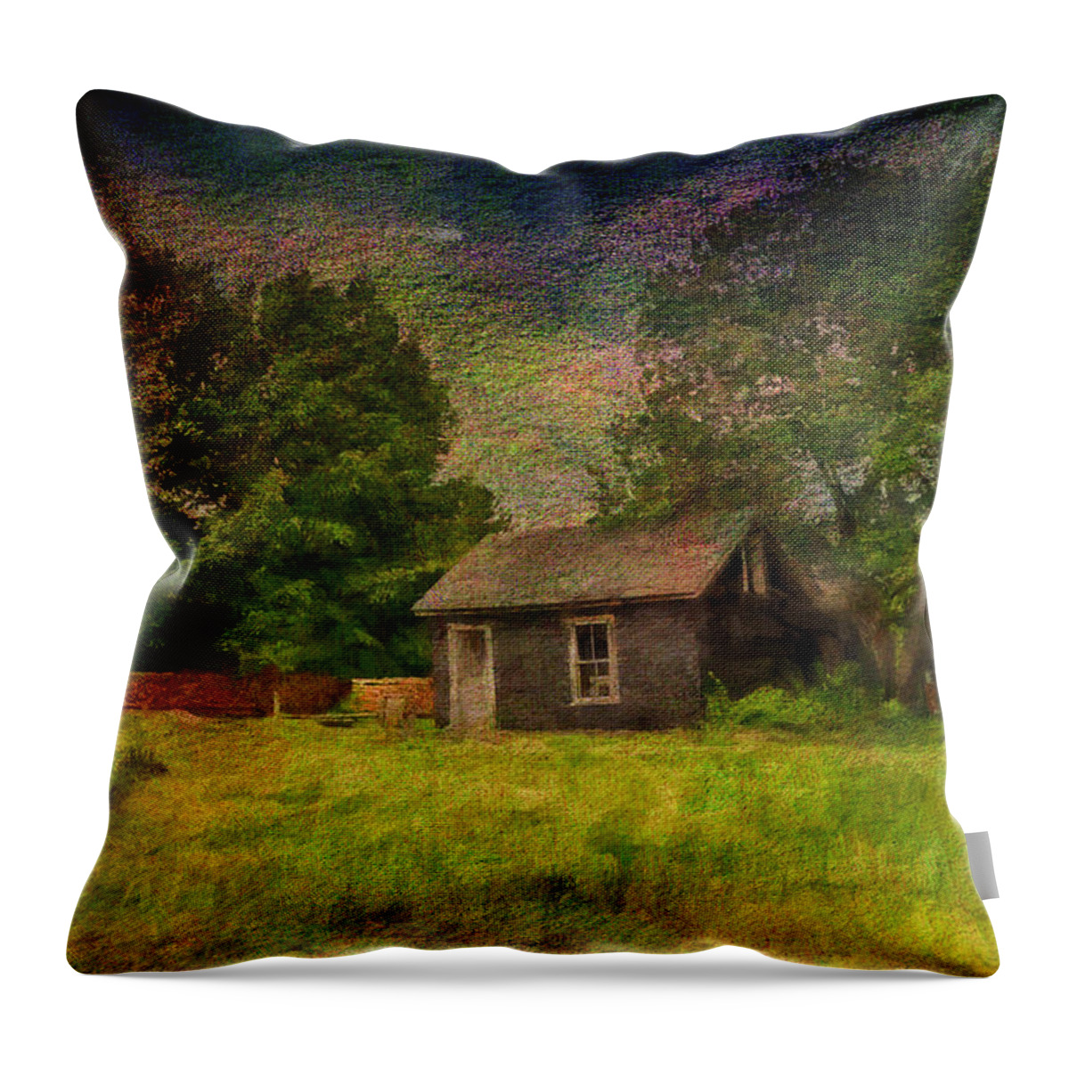 Nature Throw Pillow featuring the photograph A Day At The Farm by Tricia Marchlik