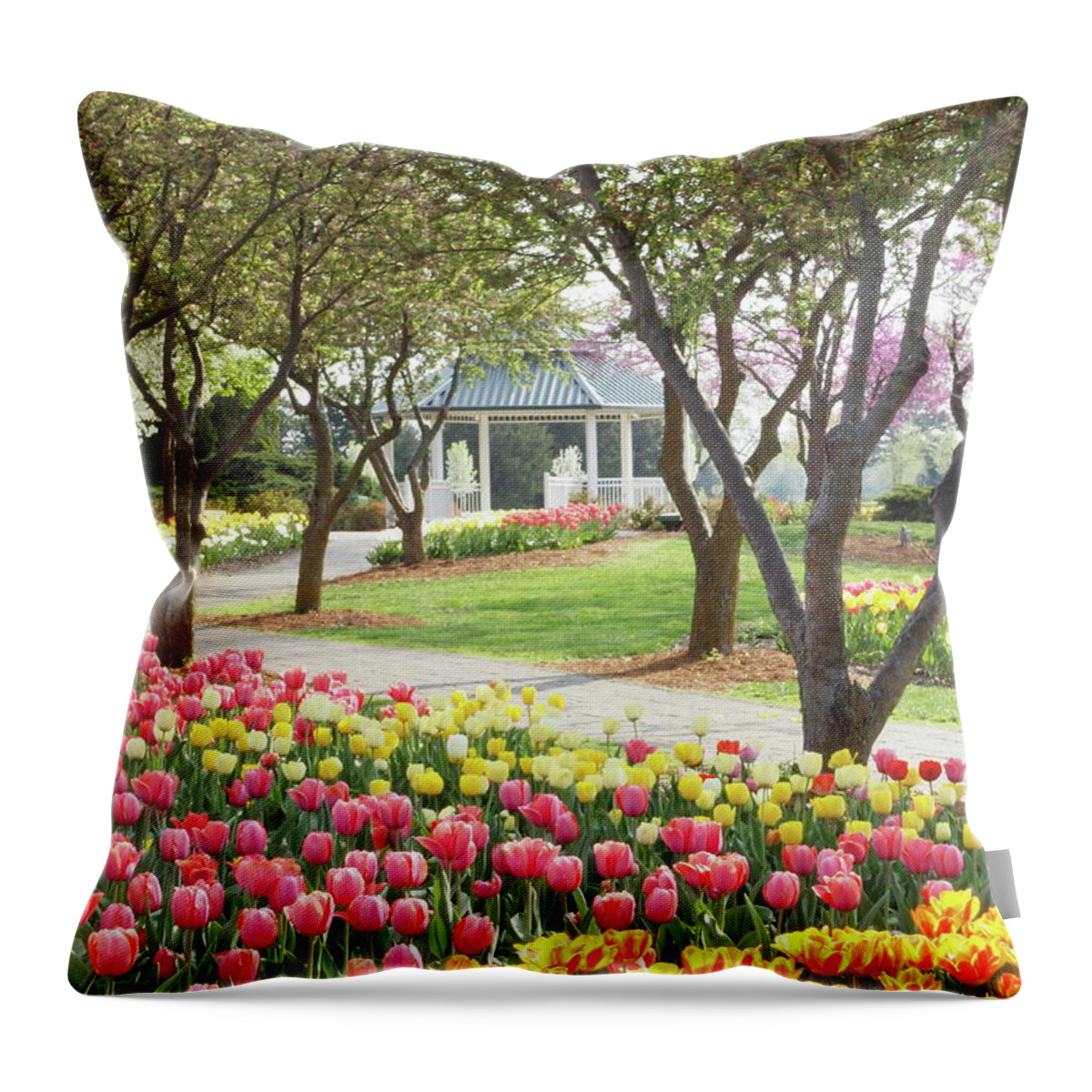 Spring Throw Pillow featuring the photograph A Day at the Park by Susan Hickam